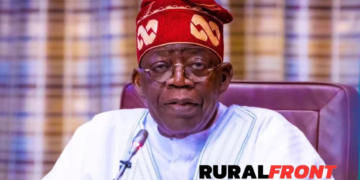 Tinubu to consult further on new minimum wage