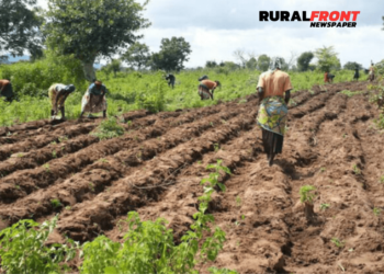 The presidency has called on Nigerians to embrace subsistence farming to address the challenge of the rising cost of food
