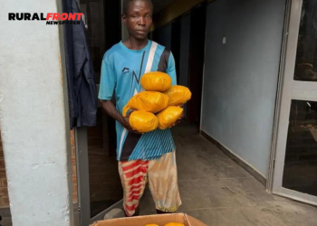 29 -yr-old man arrested over possession of Arrezonna drug in Lagos