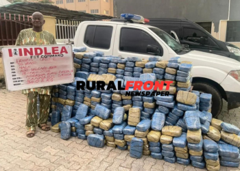 NDLEA nabs 2 suspects in Edo, arrests 76-year-old grandpa with 340kg drugs in Abuja