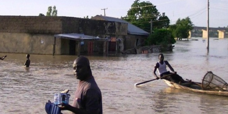 21 dead, 6000 people affected in Niger floods, rains